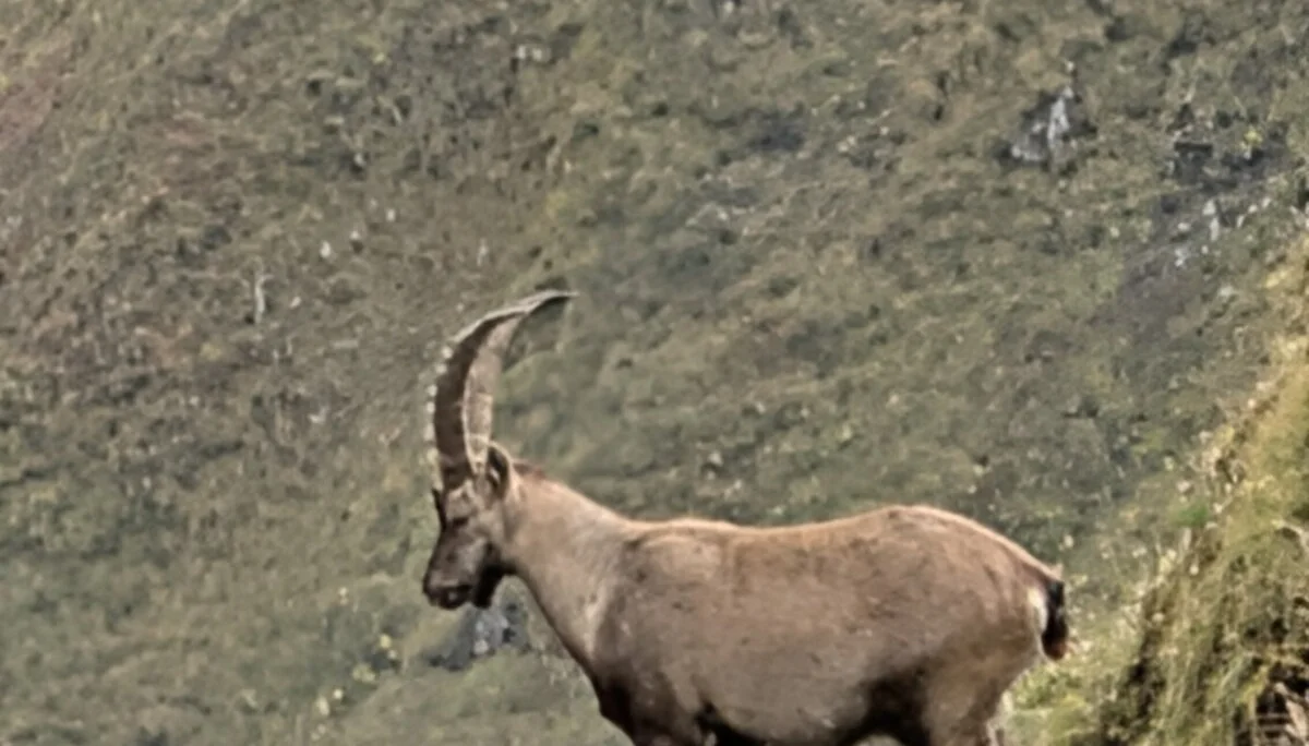 © DAV Schongau