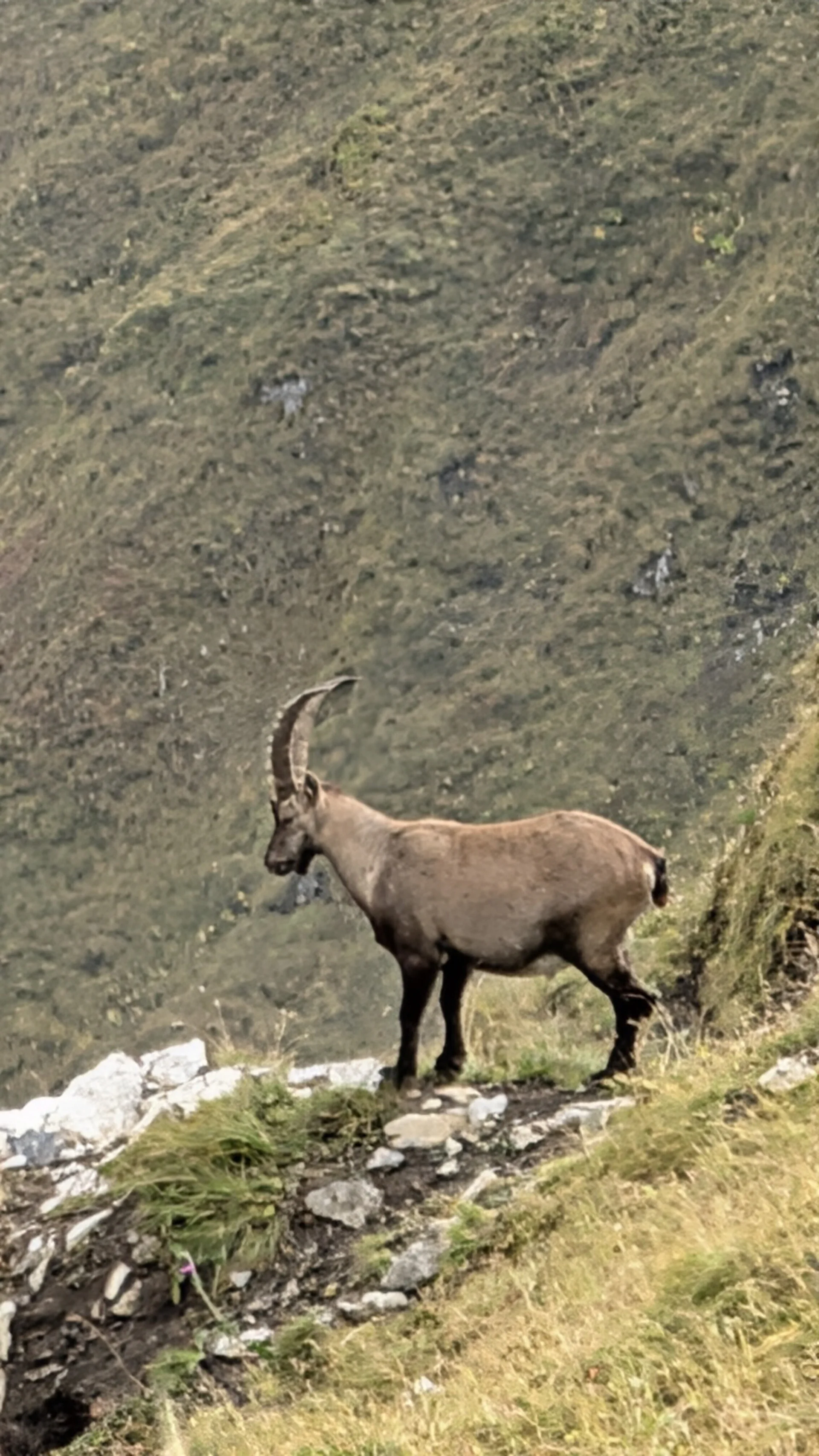 © DAV Schongau
