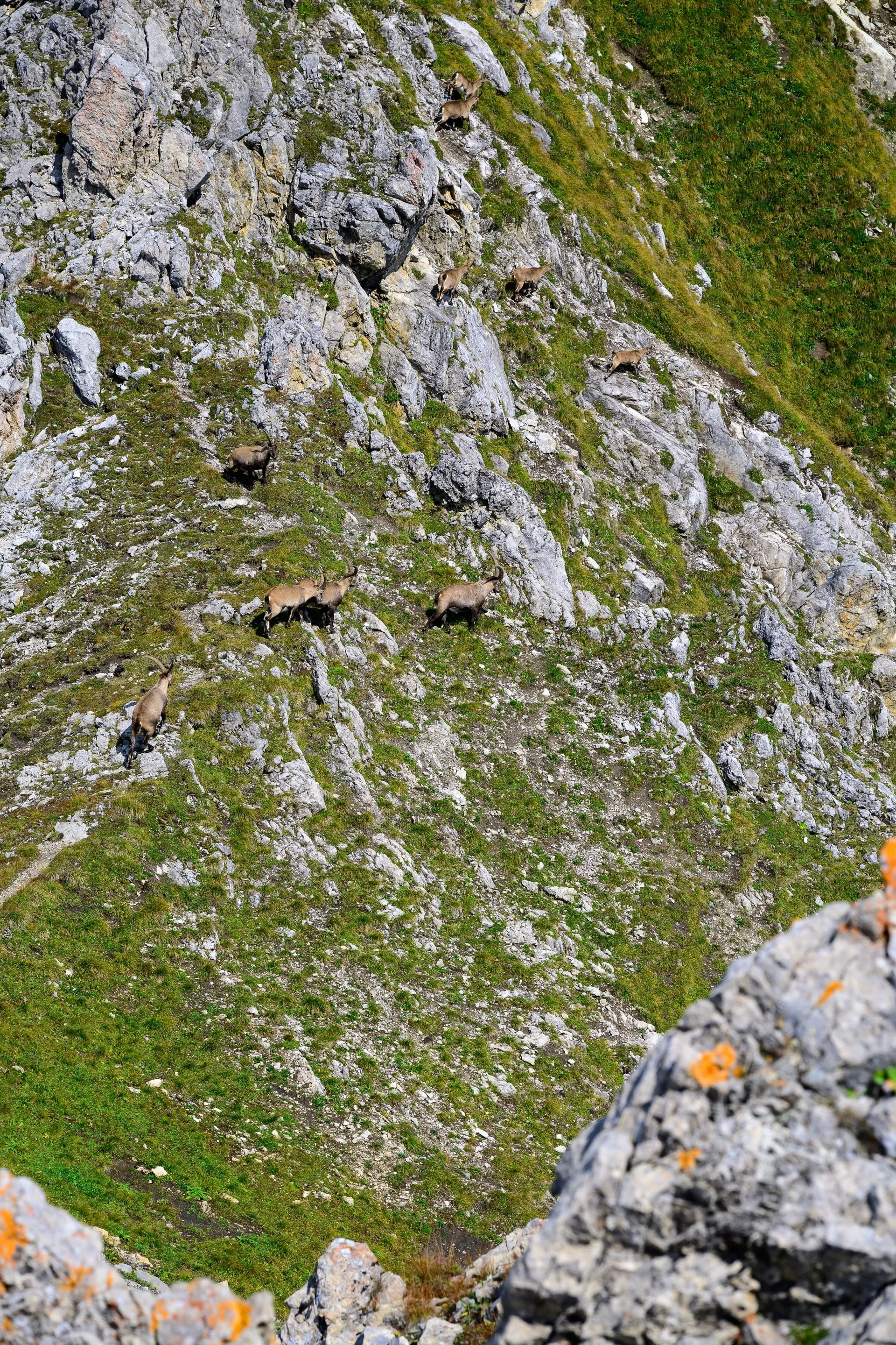 © DAV Schongau
