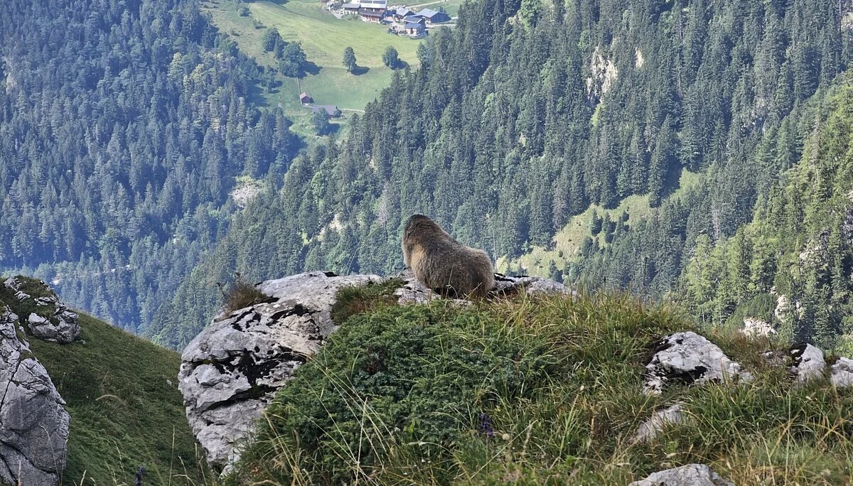 © DAV Schongau