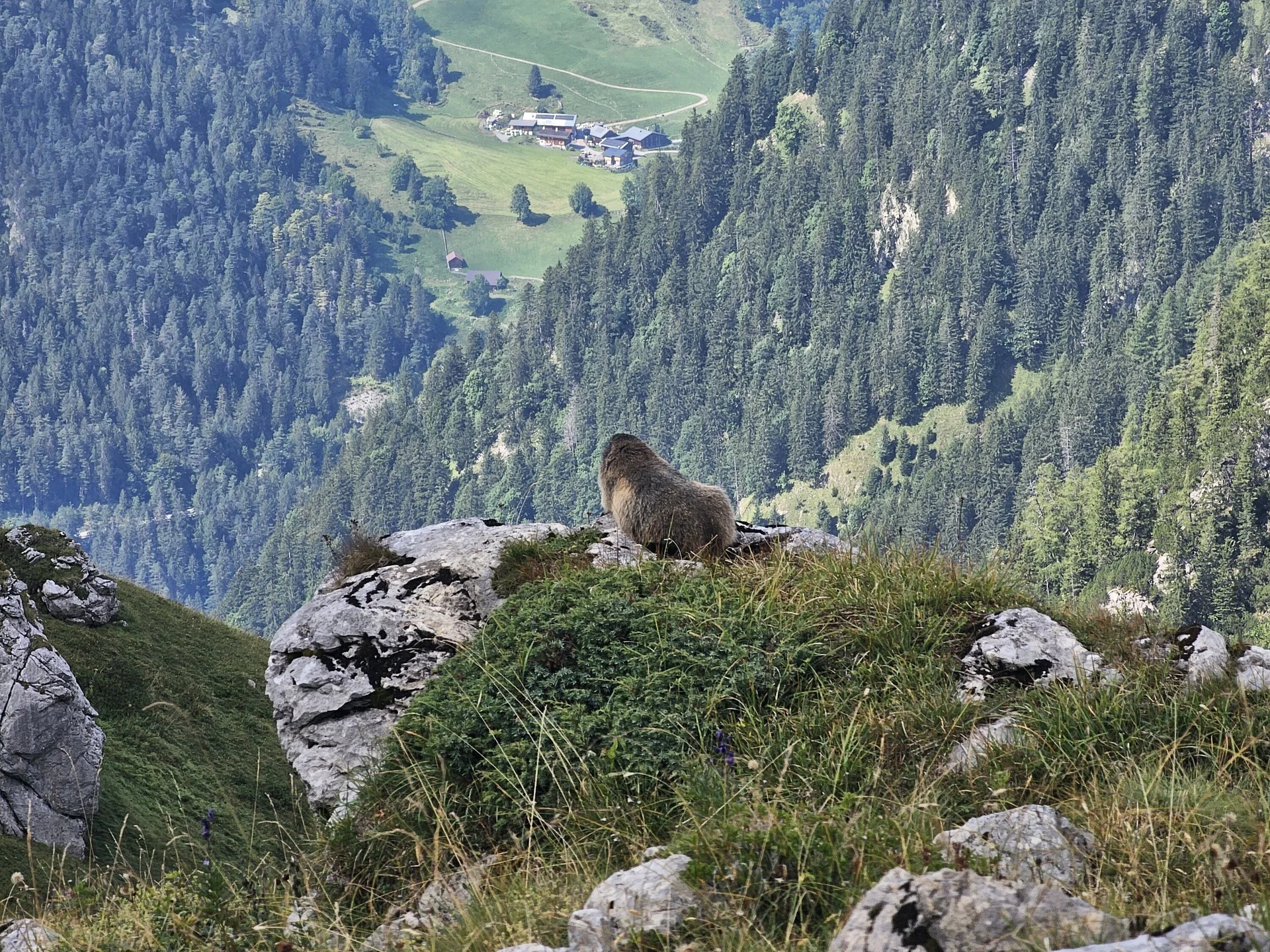 © DAV Schongau