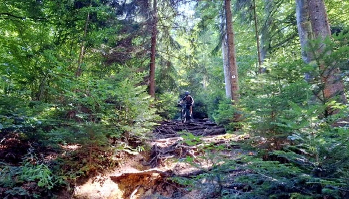 © DAV Schongau