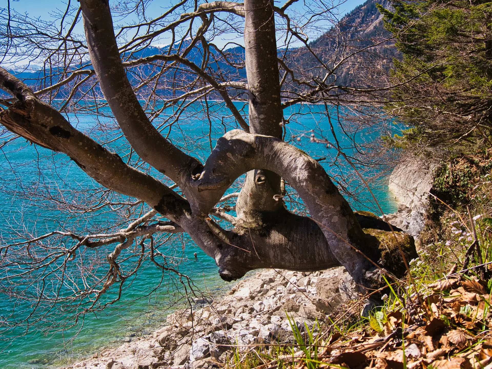 © DAV Schongau