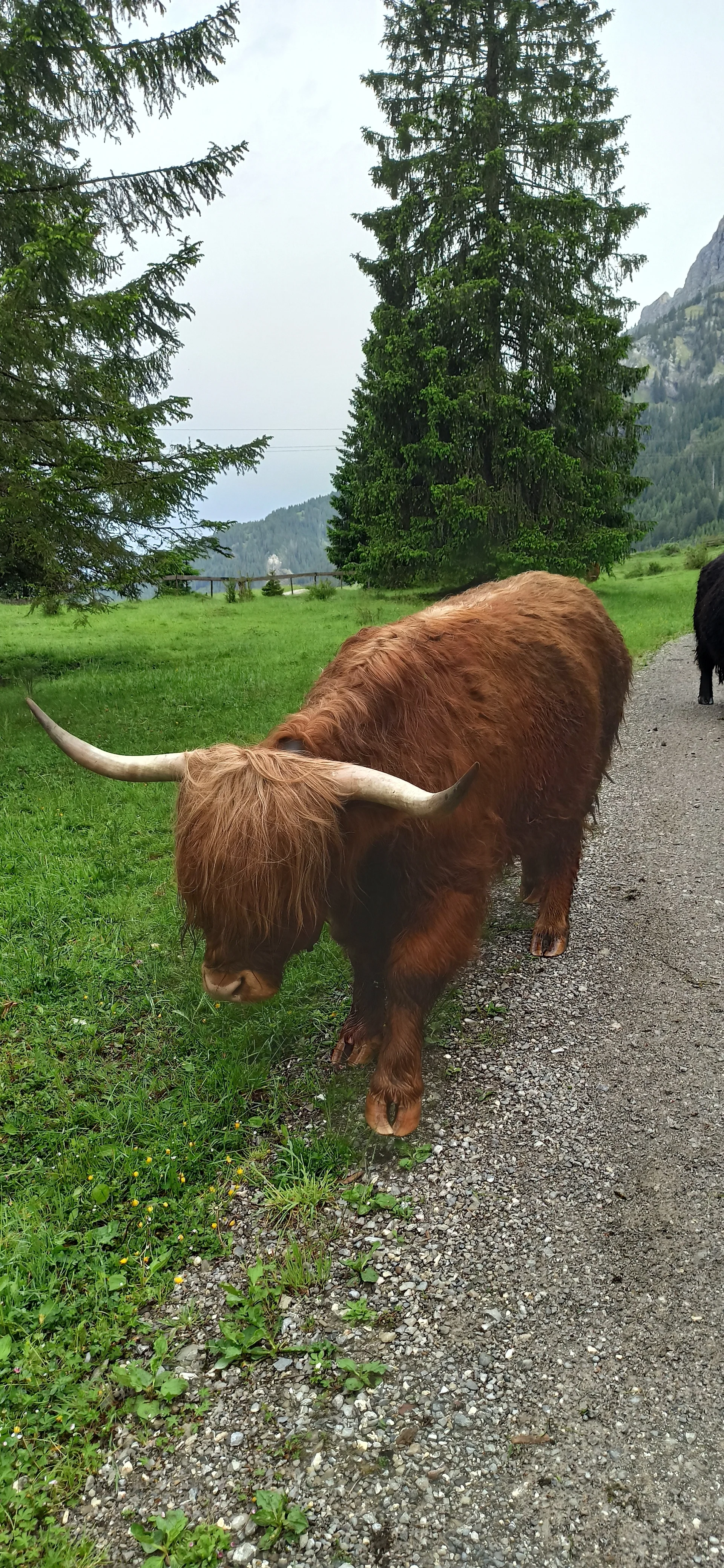 © DAV Schongau