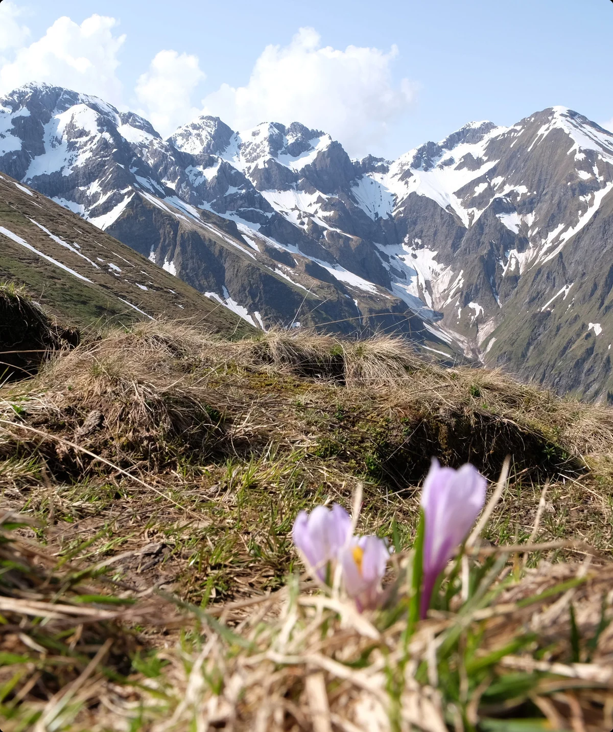 © Deutscher Alpenverein Sektion Schongau