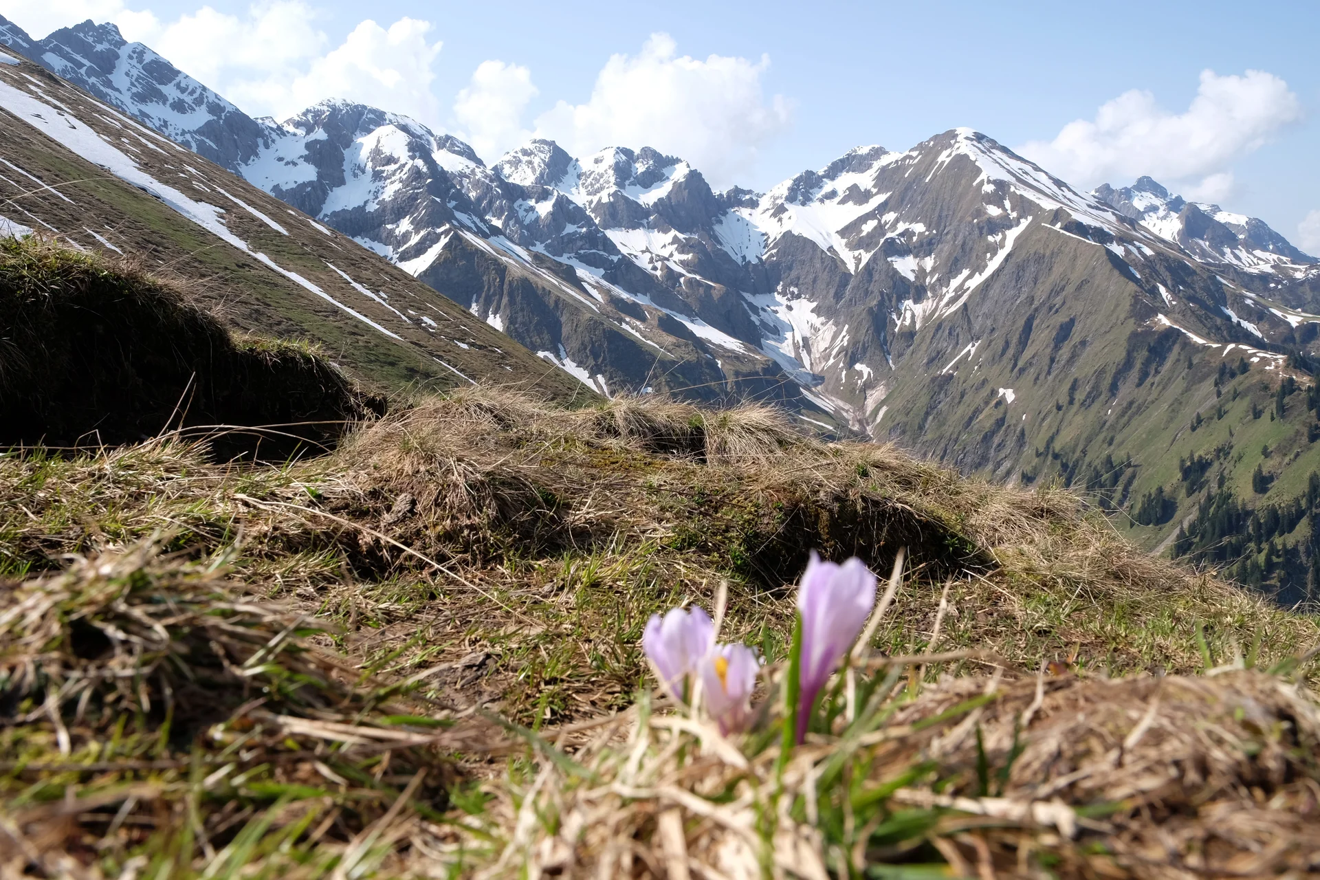 © Deutscher Alpenverein Sektion Schongau
